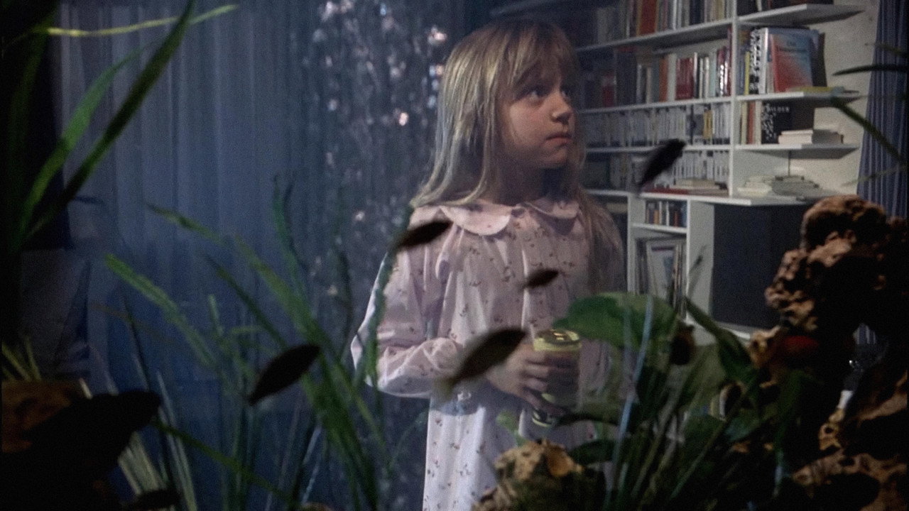 The Seventh Continent (1989) movie backdrop