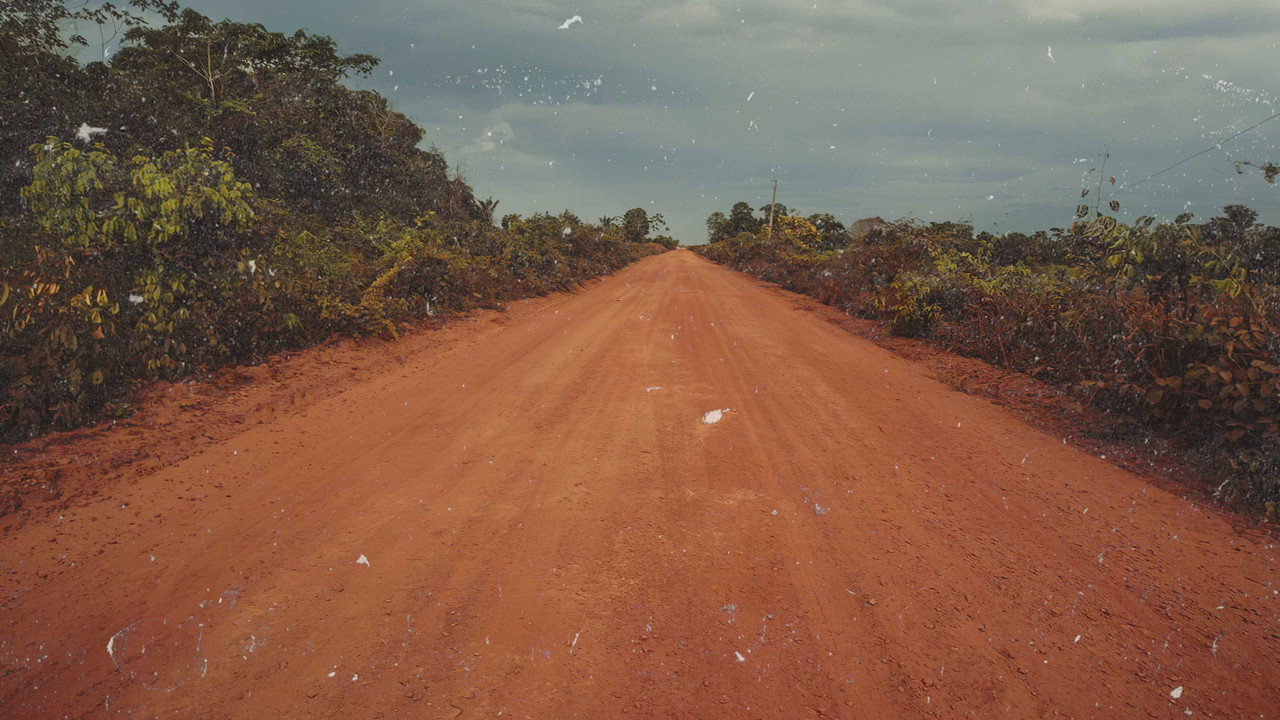 Transamazonica: A Highway to the Past (2021) TV show backdrop
