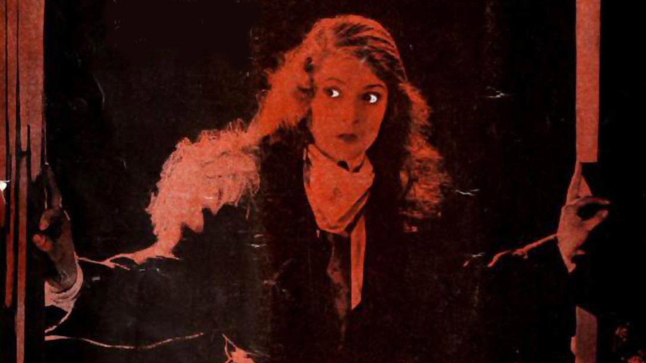 The Silk Lined Burglar (1919) movie backdrop