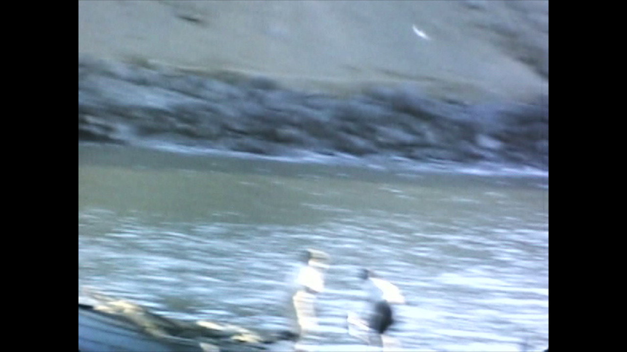 El Perú es un lugar para morir (2026) movie backdrop
