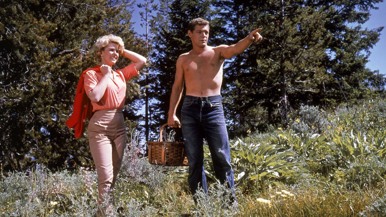 Spencer s Mountain (1963) movie backdrop