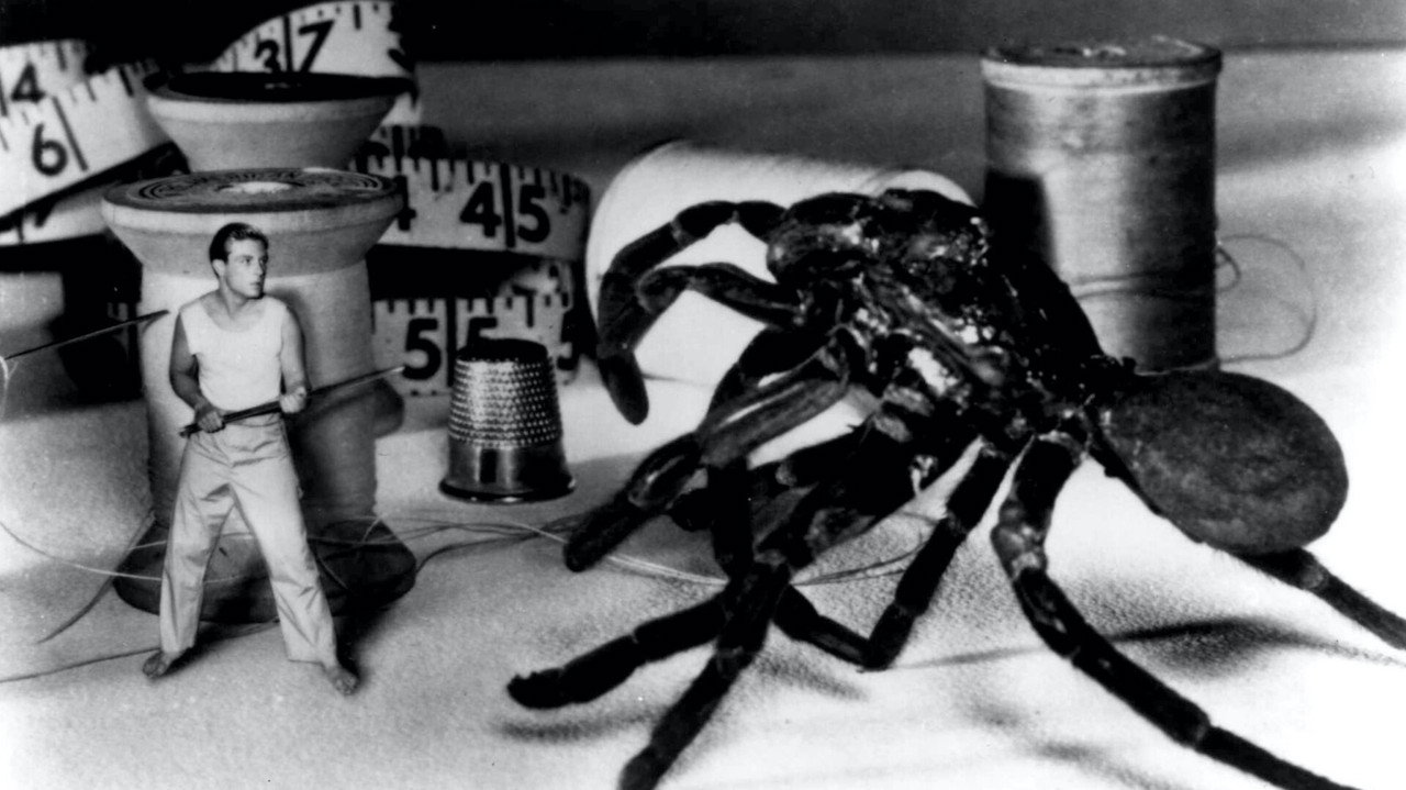 The Incredible Shrinking Man (1957) movie backdrop