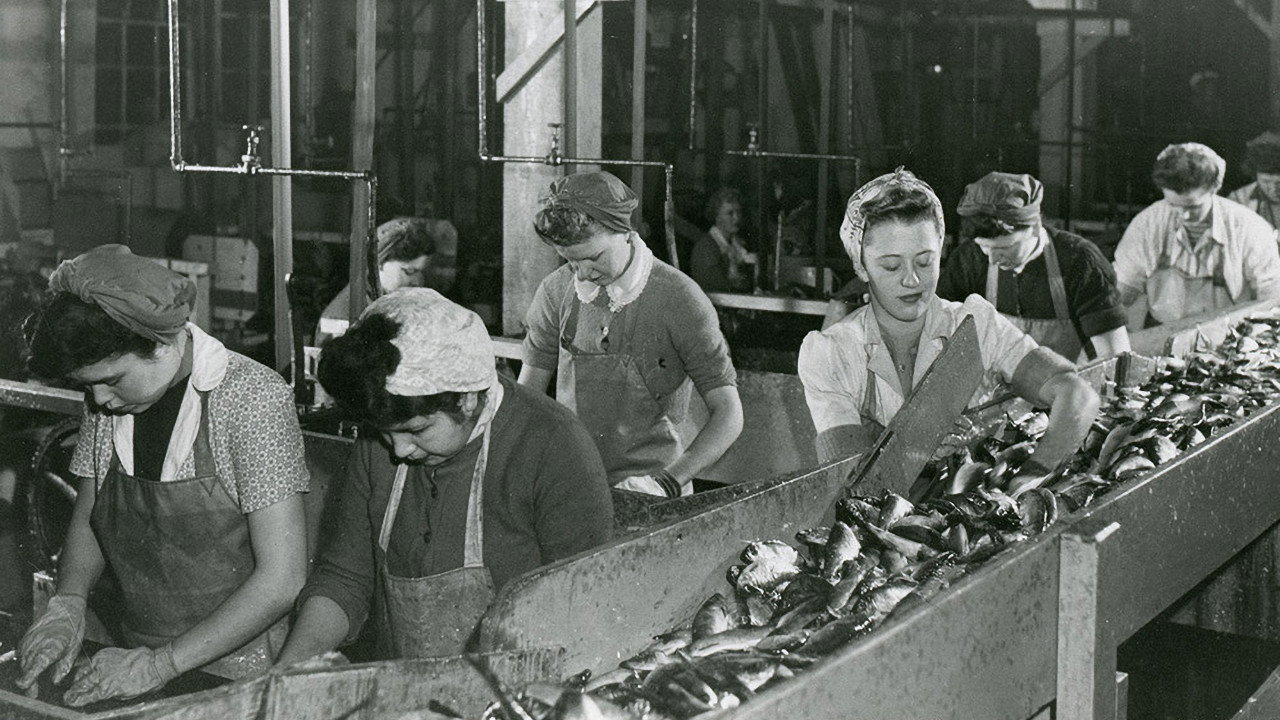 Working People: A History of Labour in British Columbia (2014) TV show backdrop