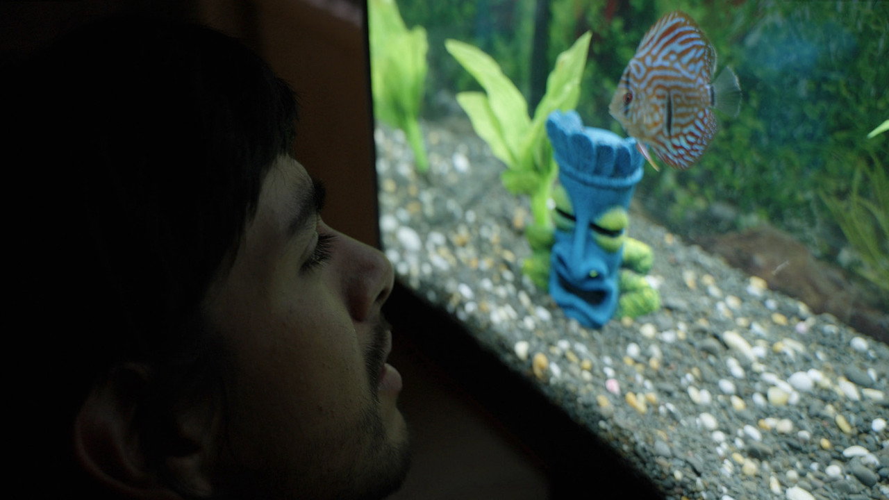 Notes from a Fish (2025) movie backdrop