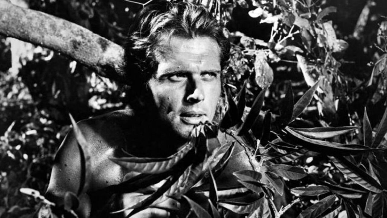 Tarzan (1966) TV show backdrop