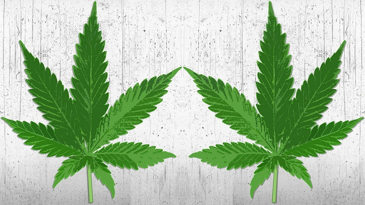 High There (2015) movie backdrop