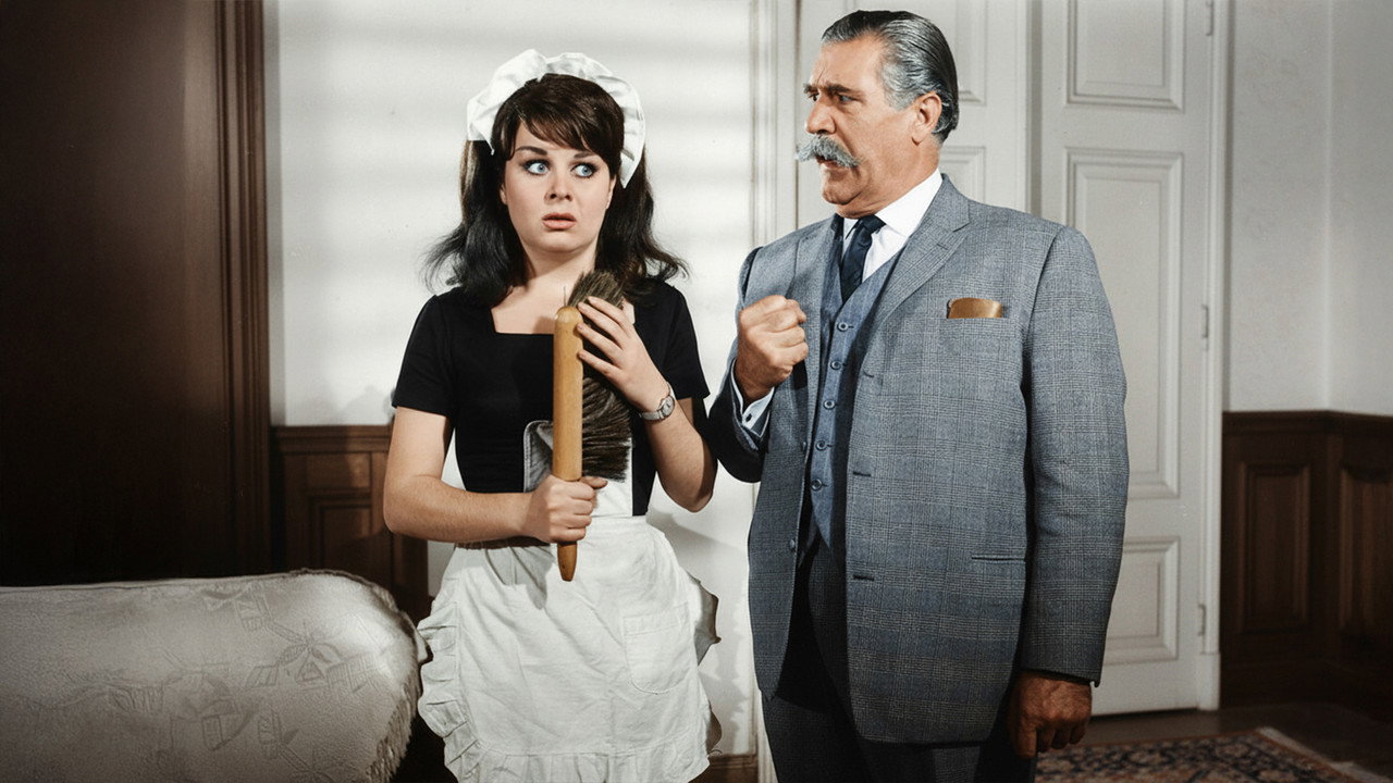 Hizmetçi Dediğin Böyle Olur (1964) movie backdrop