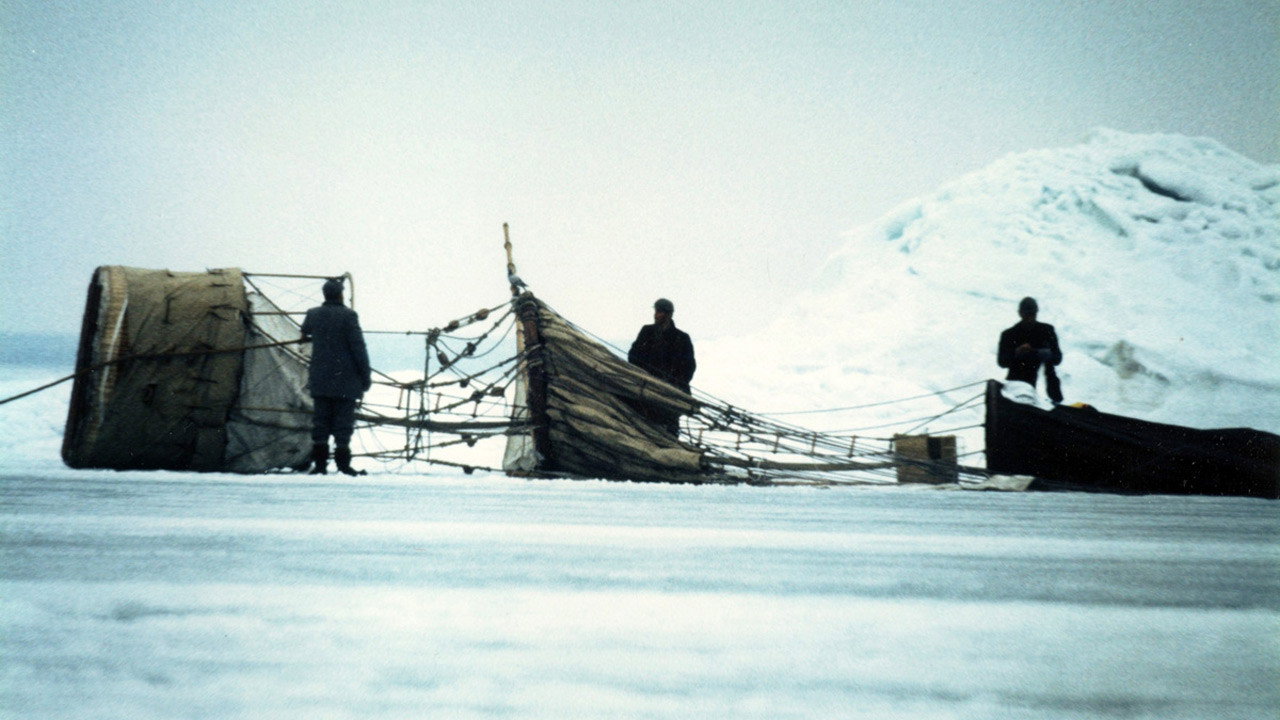 The Flight of the Eagle (1982) movie backdrop