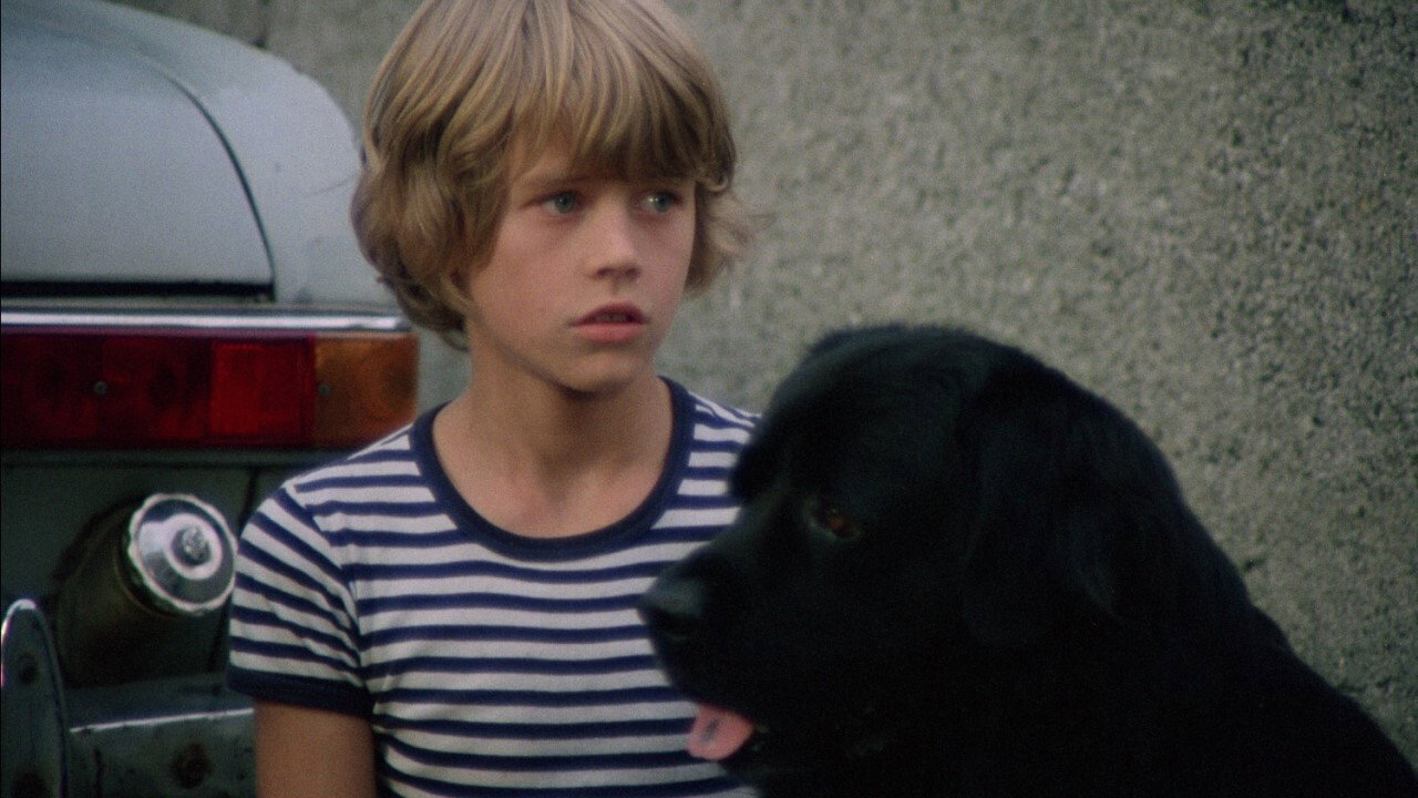 Hang on, Doggy (1977) movie backdrop