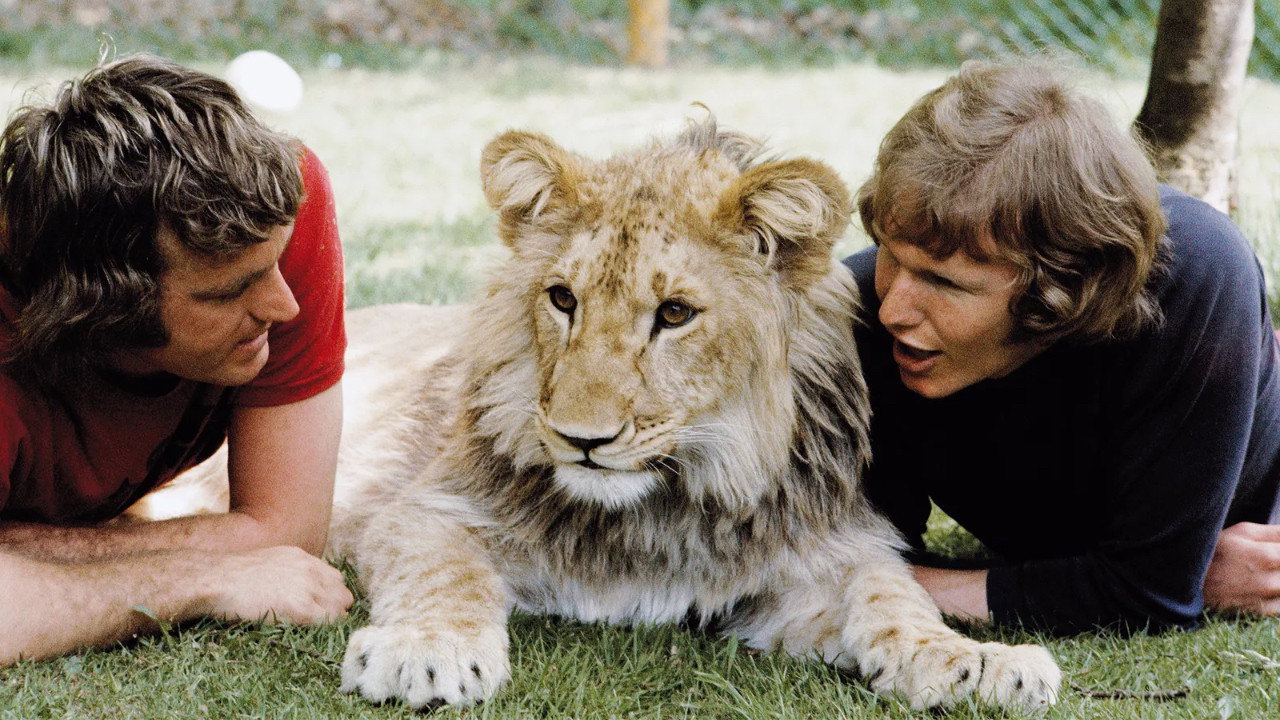 A Lion Called Christian (2009) movie backdrop