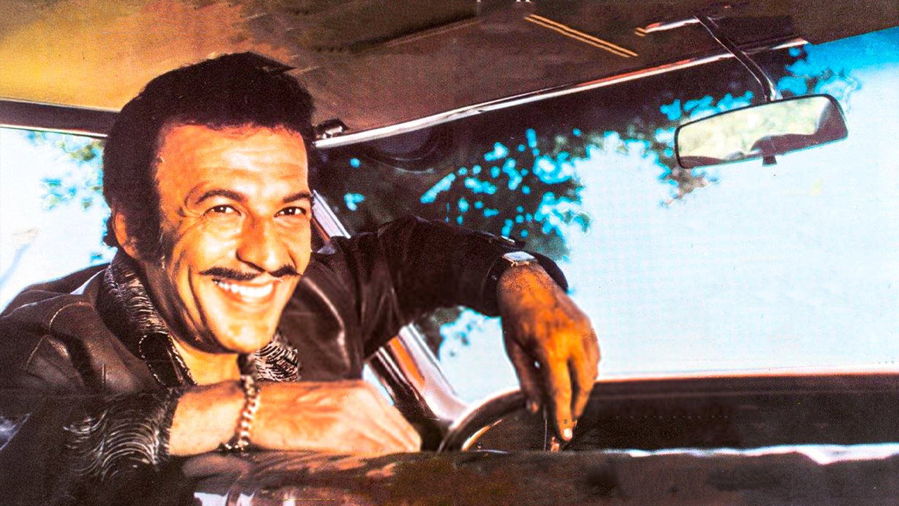 Dikiz Aynası (1973) movie backdrop