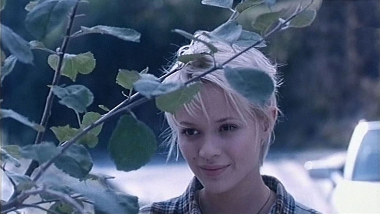 LiebesLuder (2000) movie backdrop