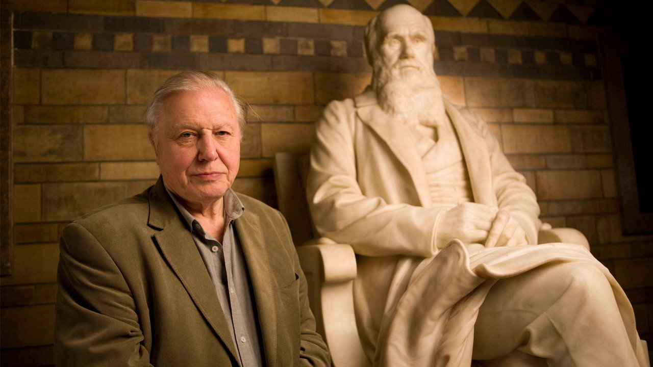 Charles Darwin and the Tree of Life (2009) movie backdrop