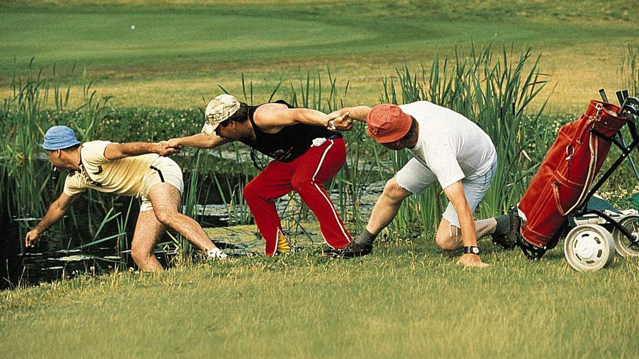 The Accidental Golfer (1991) movie backdrop