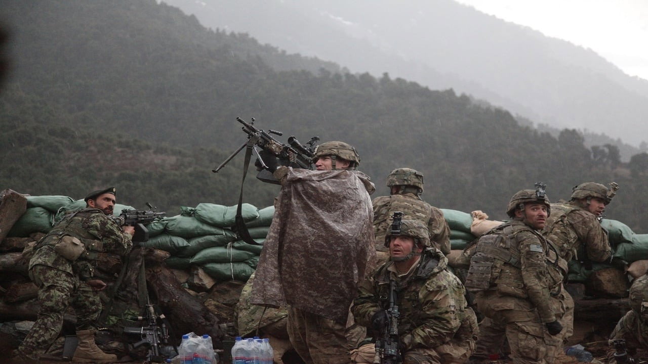 The Hornet s Nest (2014) movie backdrop