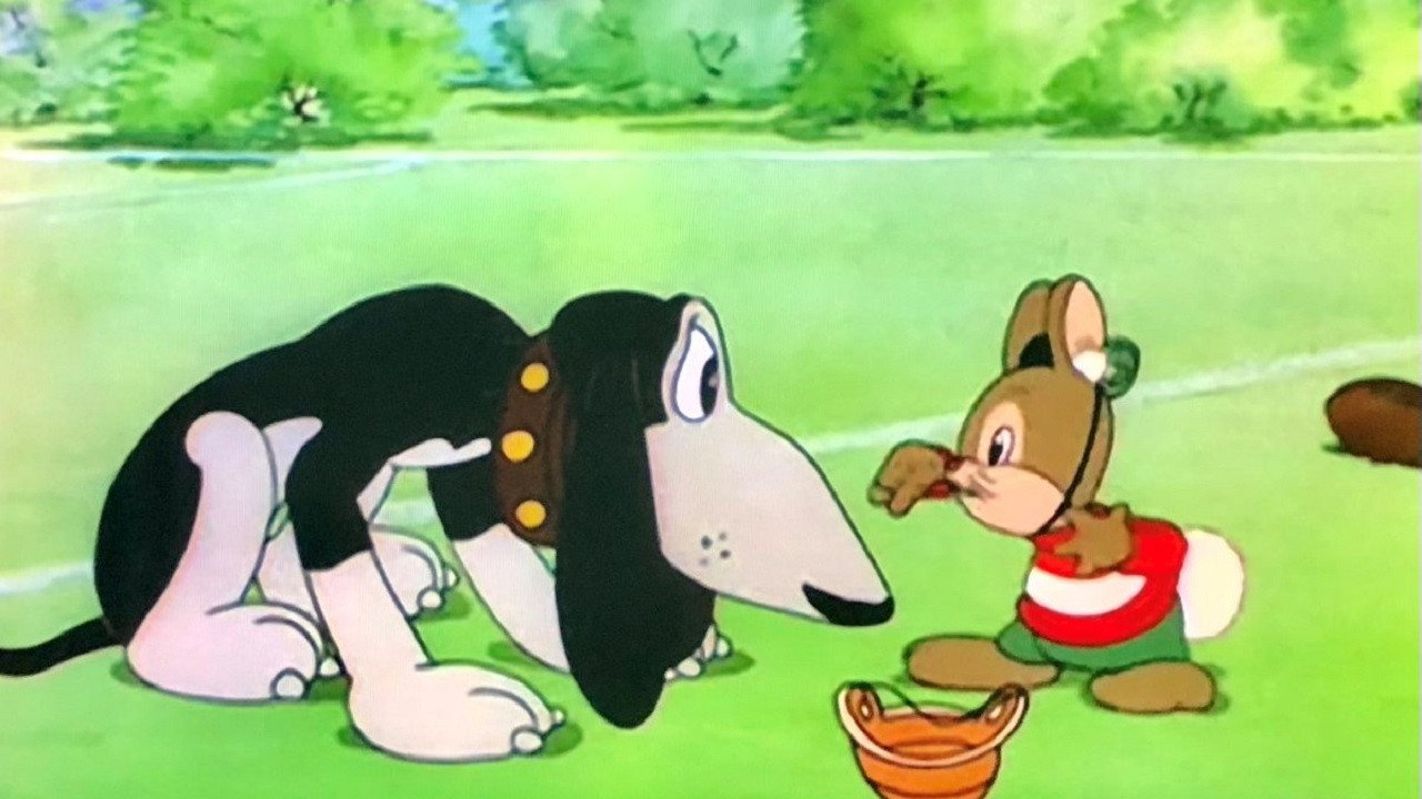 The Hound and the Rabbit (1937) movie backdrop
