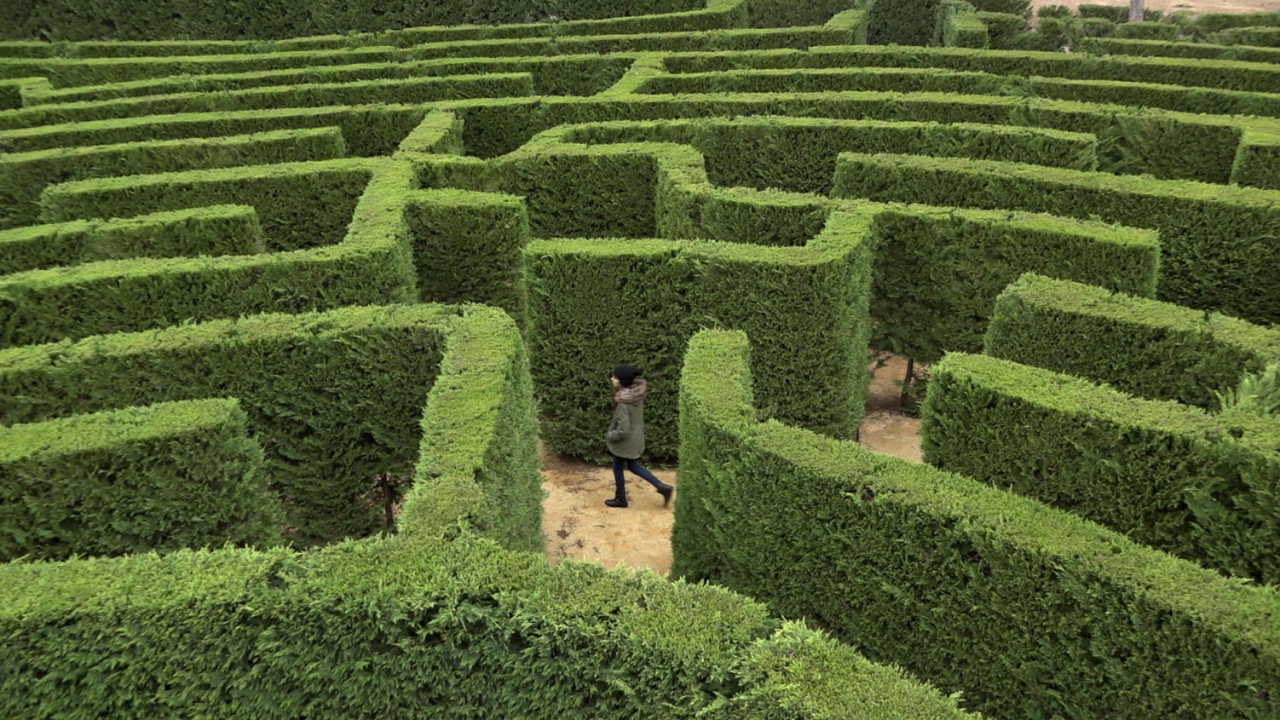 Labyrinths (2017) movie backdrop