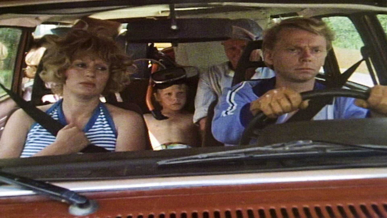 Well, We Were Lucky with the Weather (1980) movie backdrop