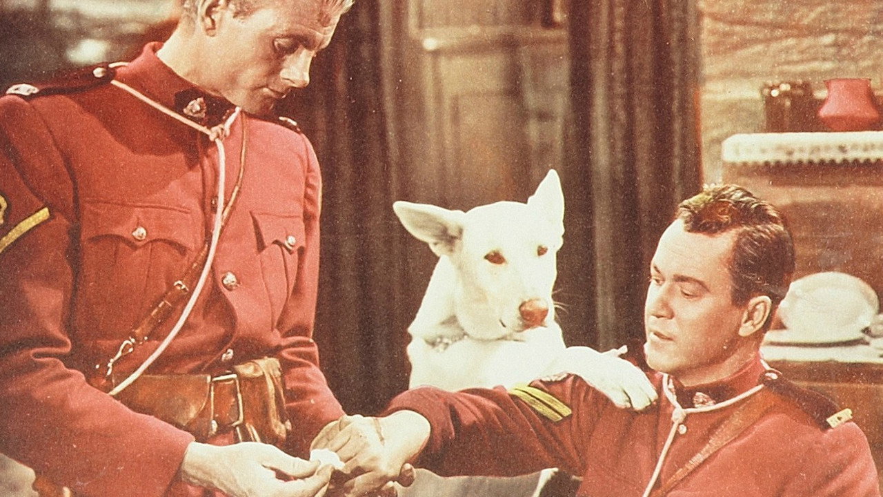 Northern Patrol (1953) movie backdrop