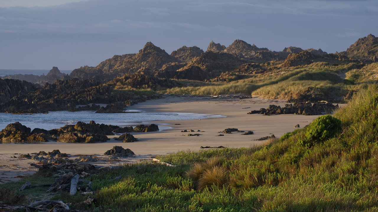 Tasmania’s Wild Treasures (2026) TV show backdrop