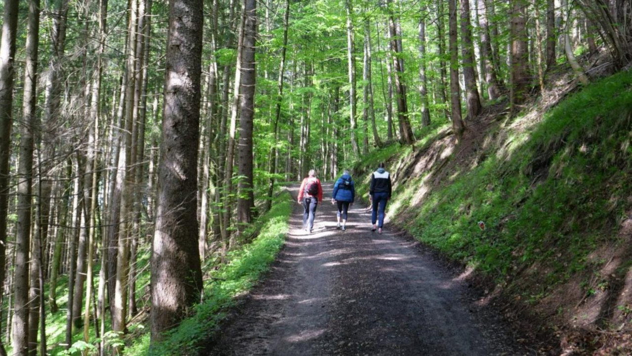 Walking: Miracle Cure for Body and Soul (2022) movie backdrop