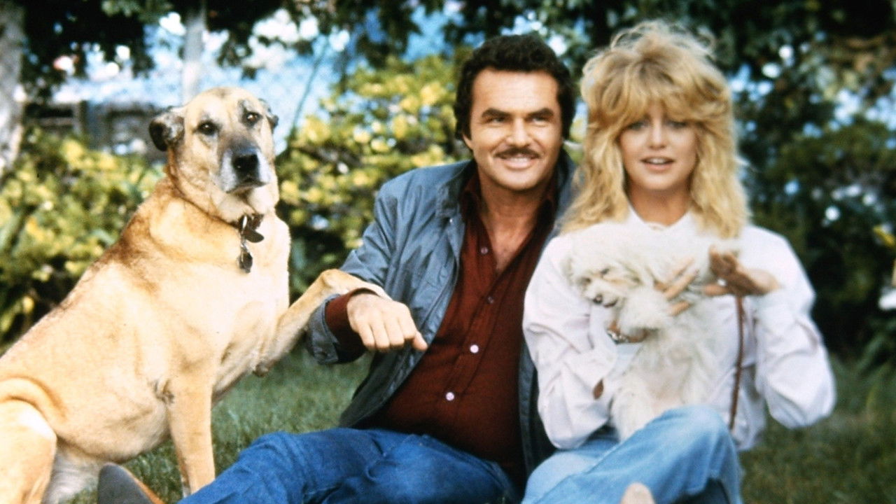 Best Friends (1982) movie backdrop