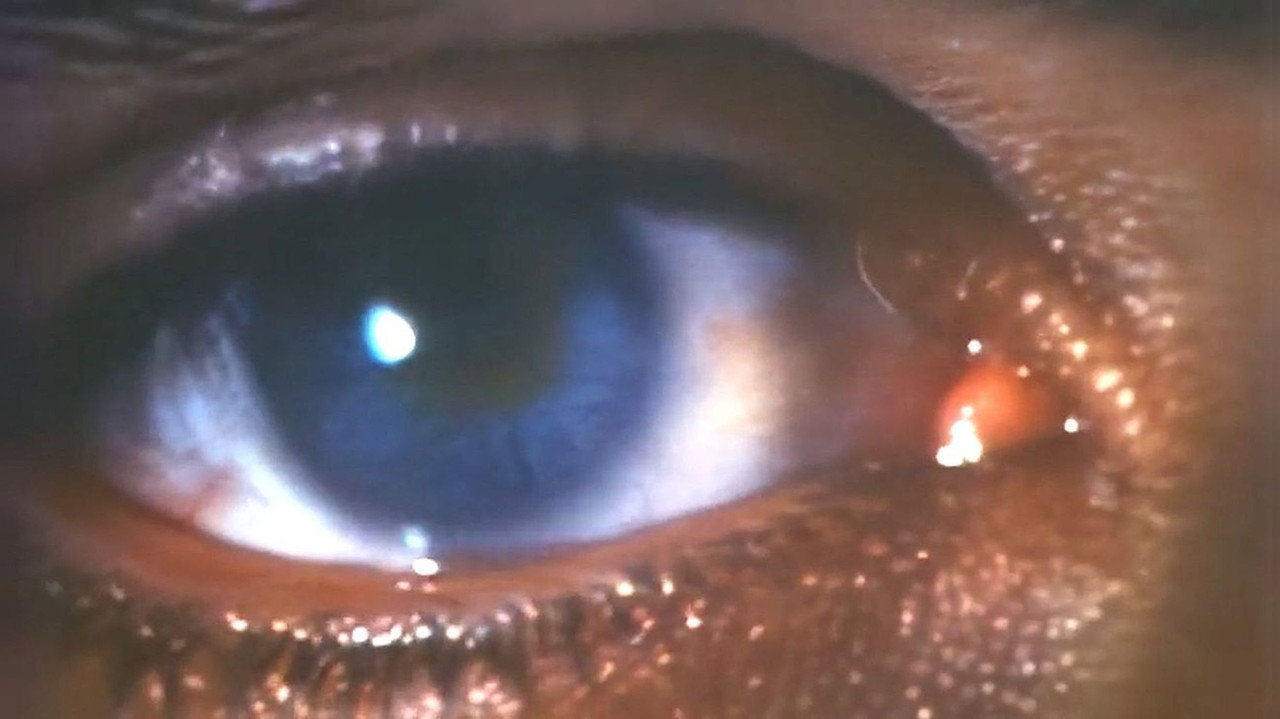 Faces of Death III (1985) movie backdrop