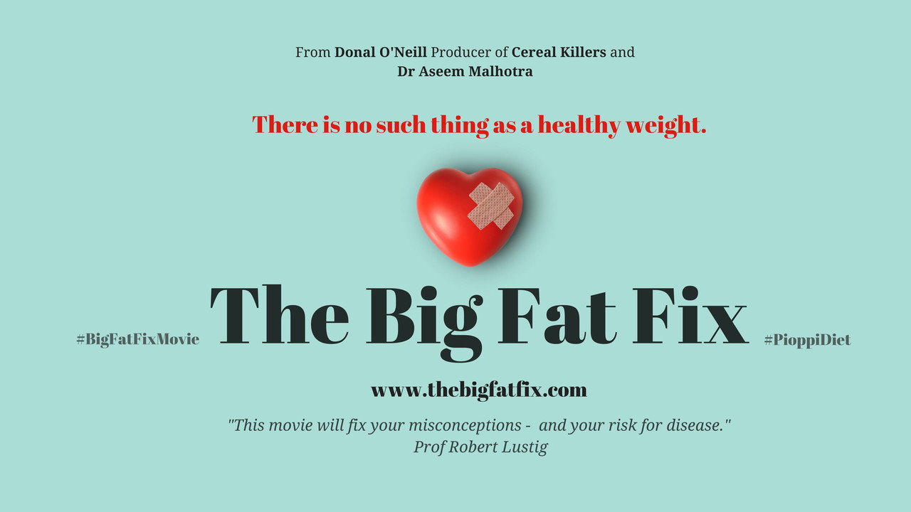 The Big Fat Fix (2016) movie backdrop