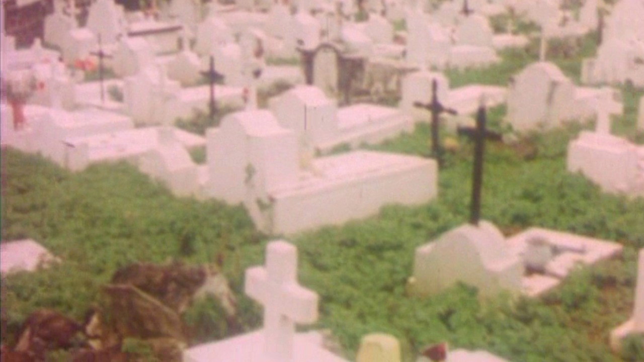 And the Dogs Were Silent (1976) movie backdrop