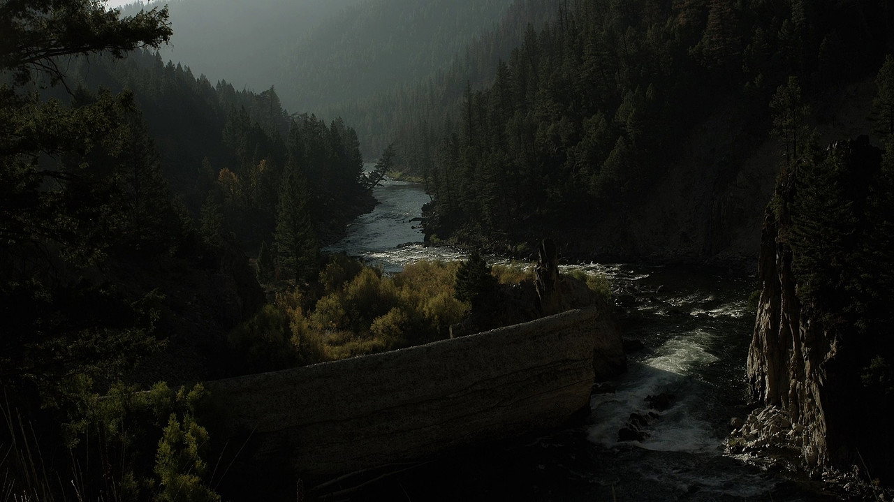 River of Fundament (2014) movie backdrop