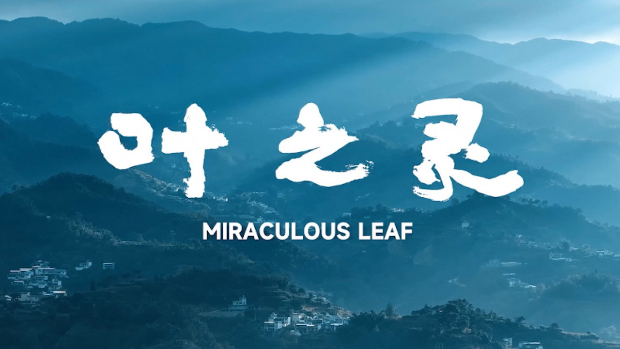 Miraculous Leaf (2026) movie backdrop
