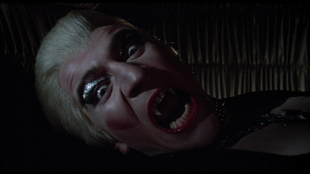 Body Double (1984) movie backdrop