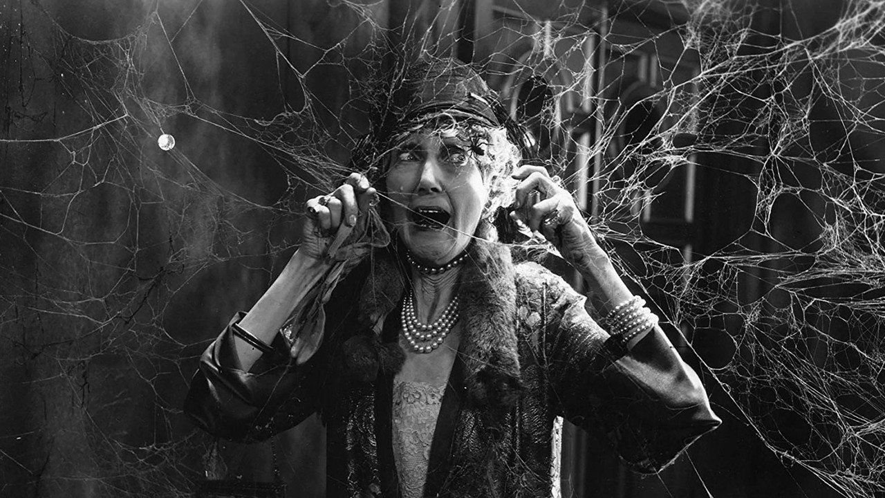 The Last Warning (1928) movie backdrop