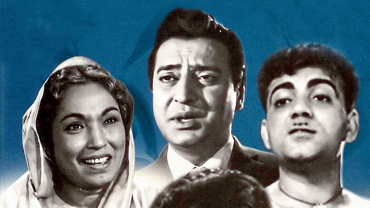 Biradari (1966) movie backdrop