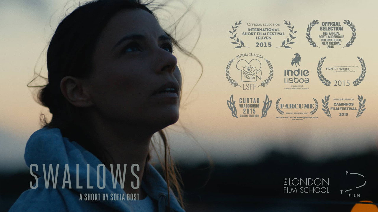 Swallows (2015) movie backdrop