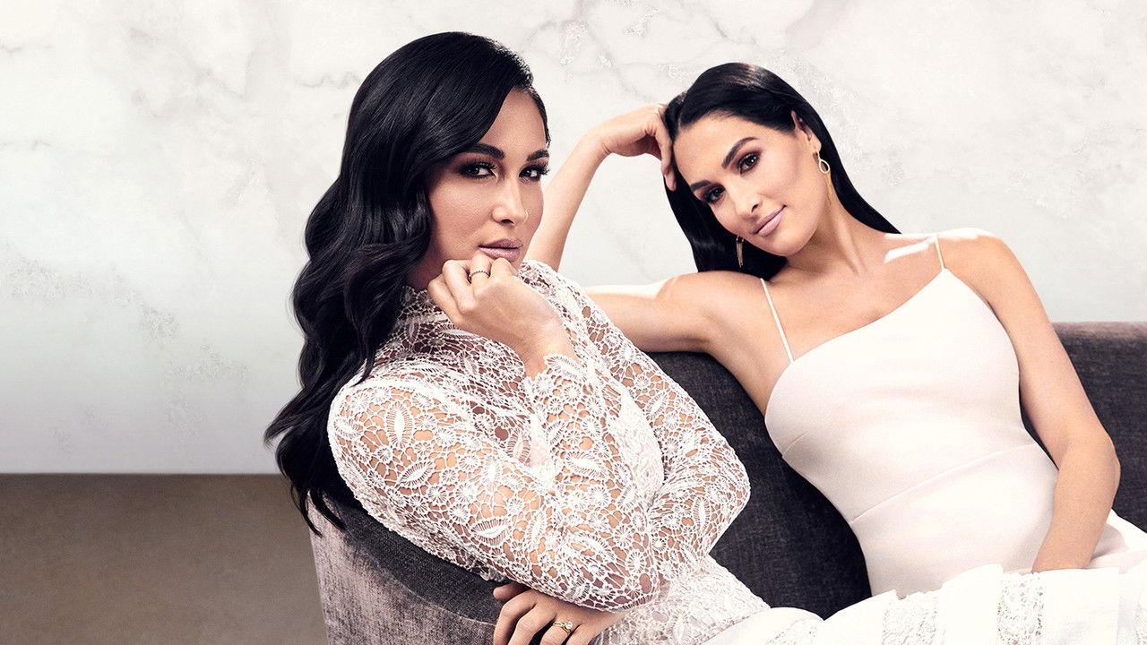 Total Bellas (2016) TV show backdrop