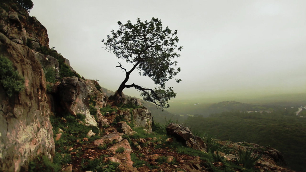 Is Mindfulness Right for You? (2021) movie backdrop