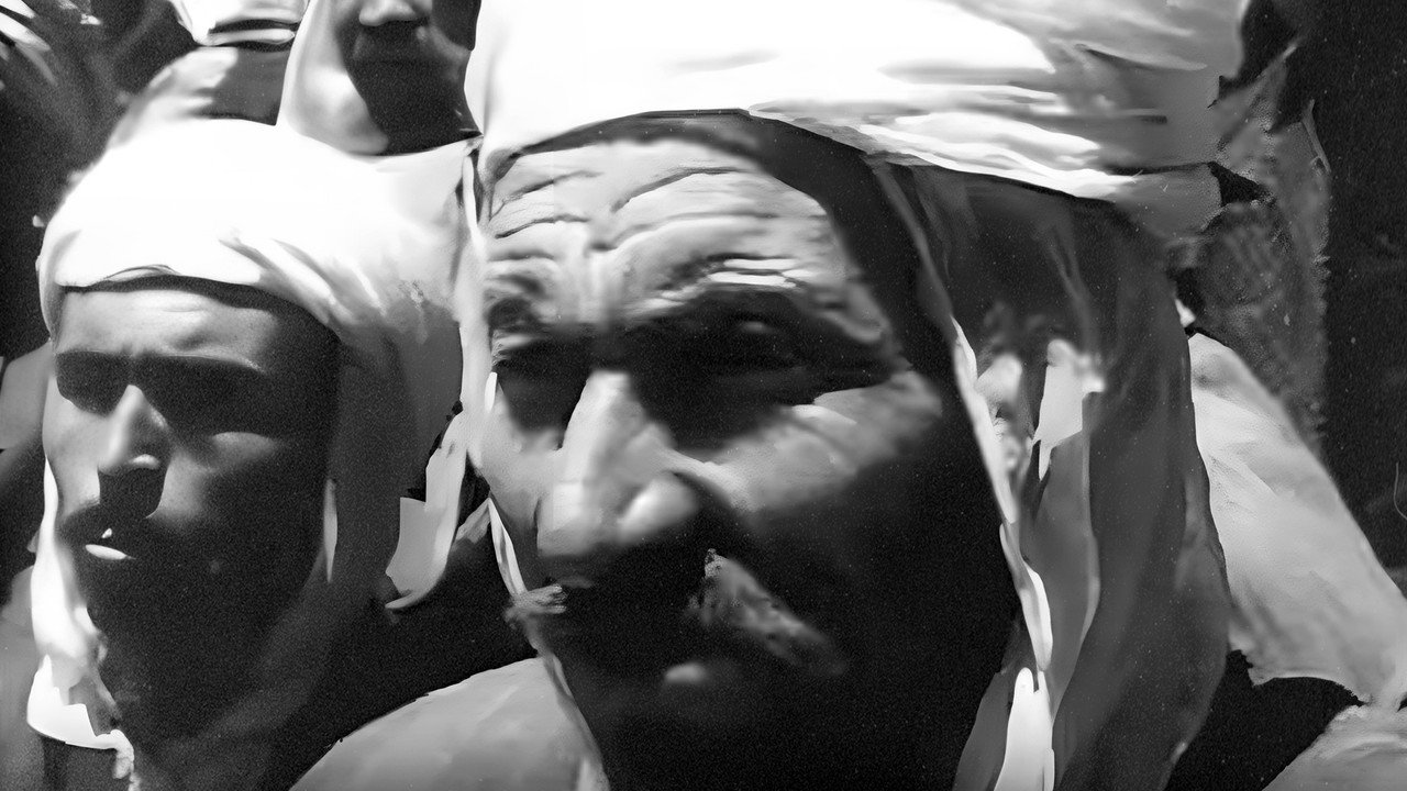 Our Algeria (1959) movie backdrop