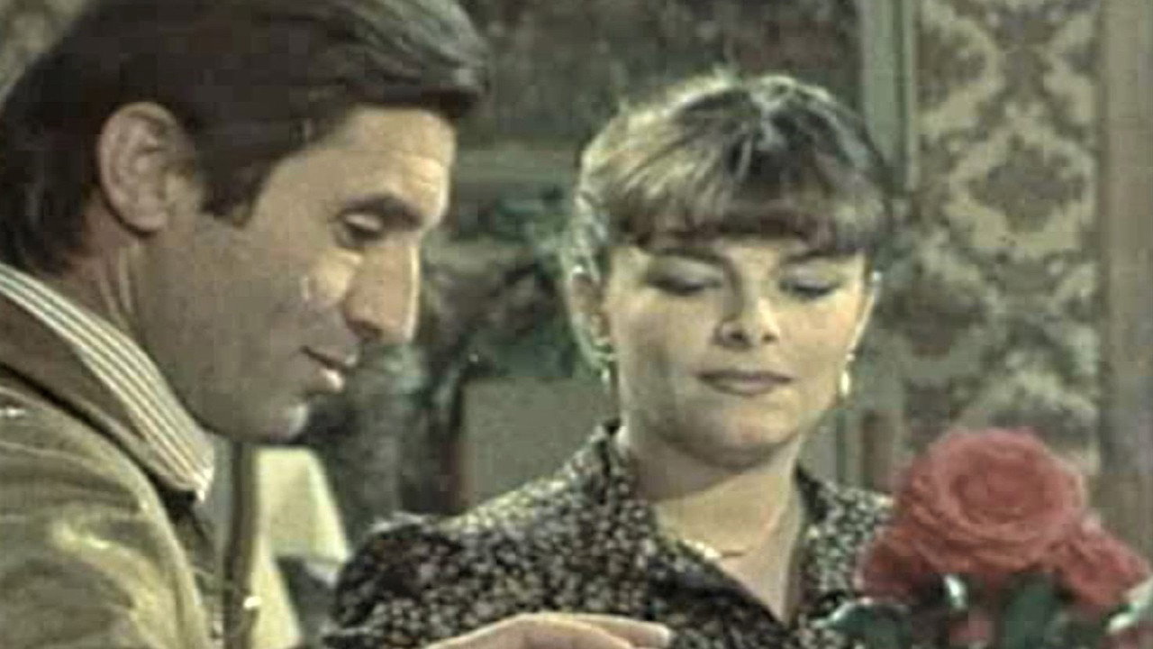 The Adventures of Borivoje Surdilovic (1980) movie backdrop