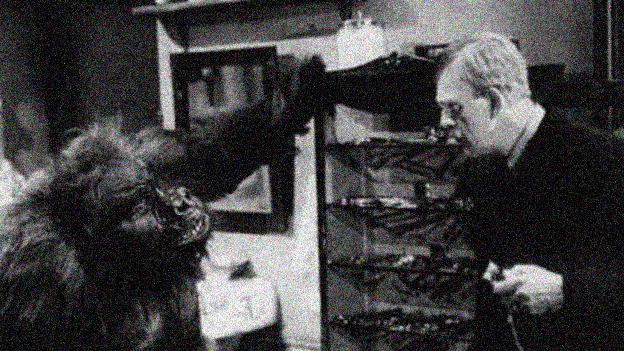 The Ape (1940) movie backdrop
