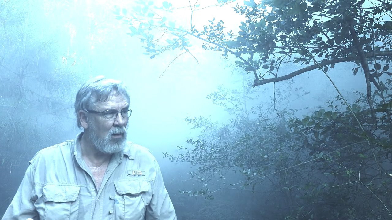 Alone with Bigfoot (2019) movie backdrop