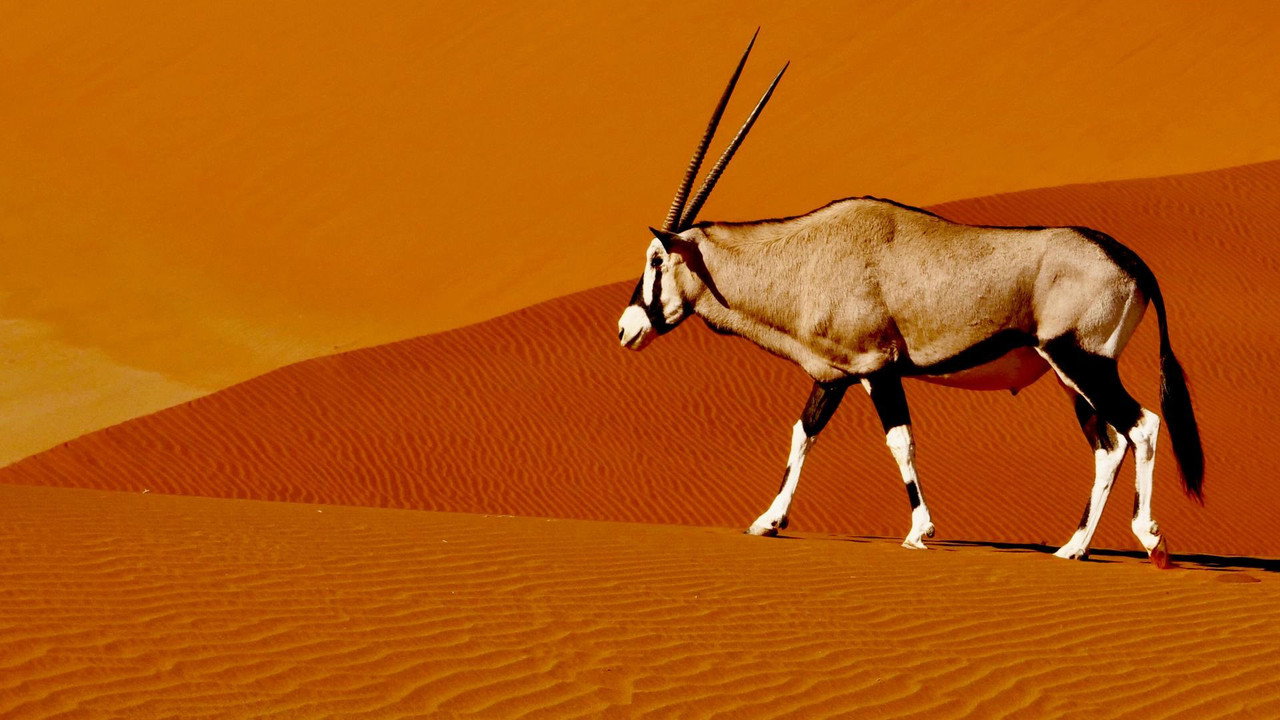 Namibia’s Natural Wonders (2023) TV show backdrop