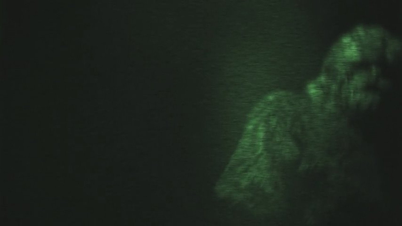On the Trail of Bigfoot: The Journey (2021) movie backdrop