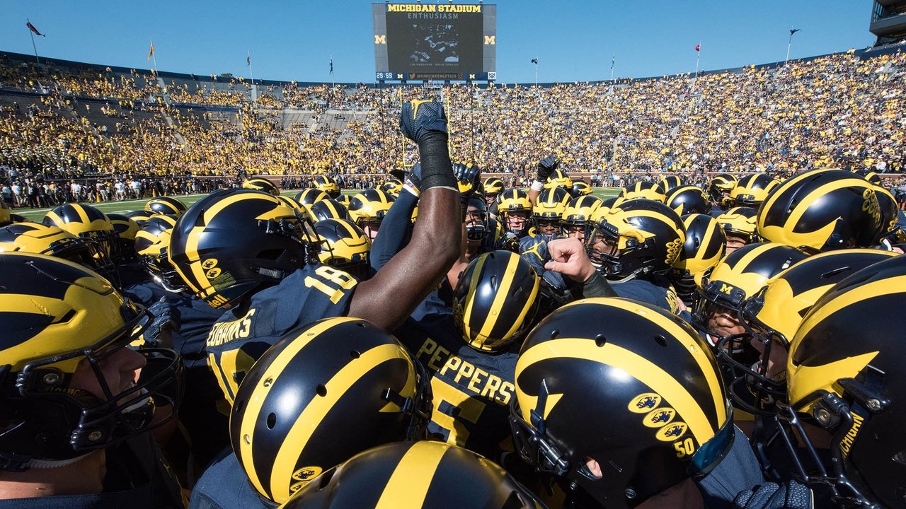 All or Nothing: The Michigan Wolverines (2018) TV show backdrop