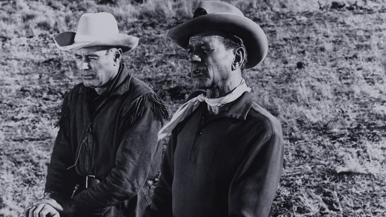The Great Sioux Massacre (1965) movie backdrop