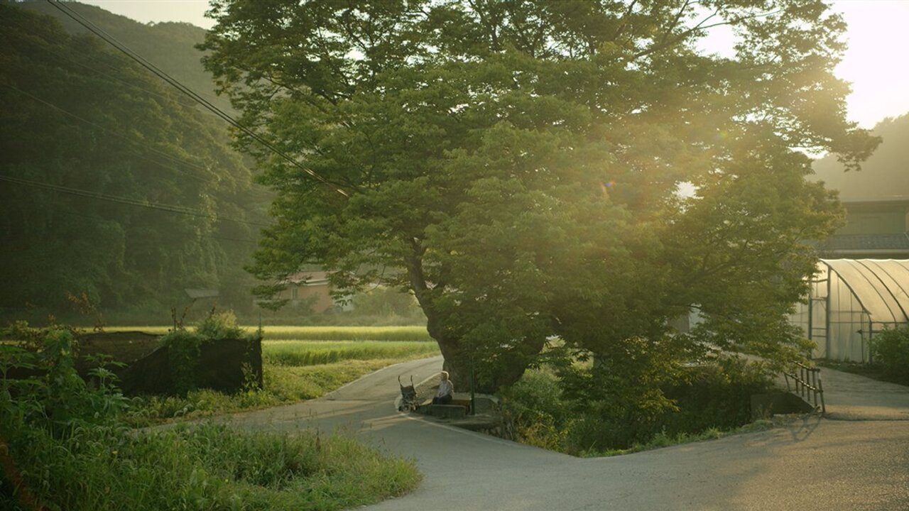 Summer Sounds (2018) movie backdrop