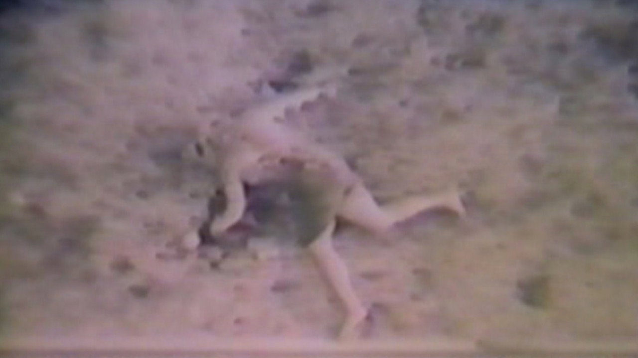 The Diane Linkletter Story (1970) movie backdrop