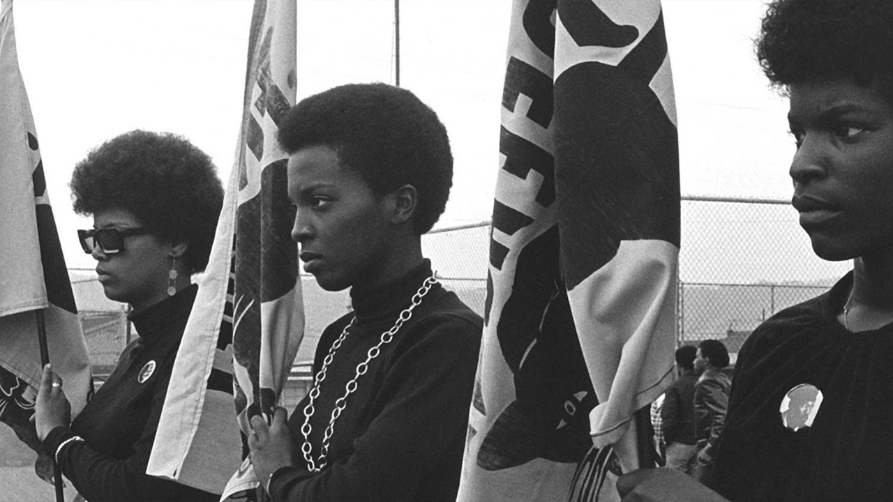 The Black Panthers: Vanguard of the Revolution (2015) movie backdrop