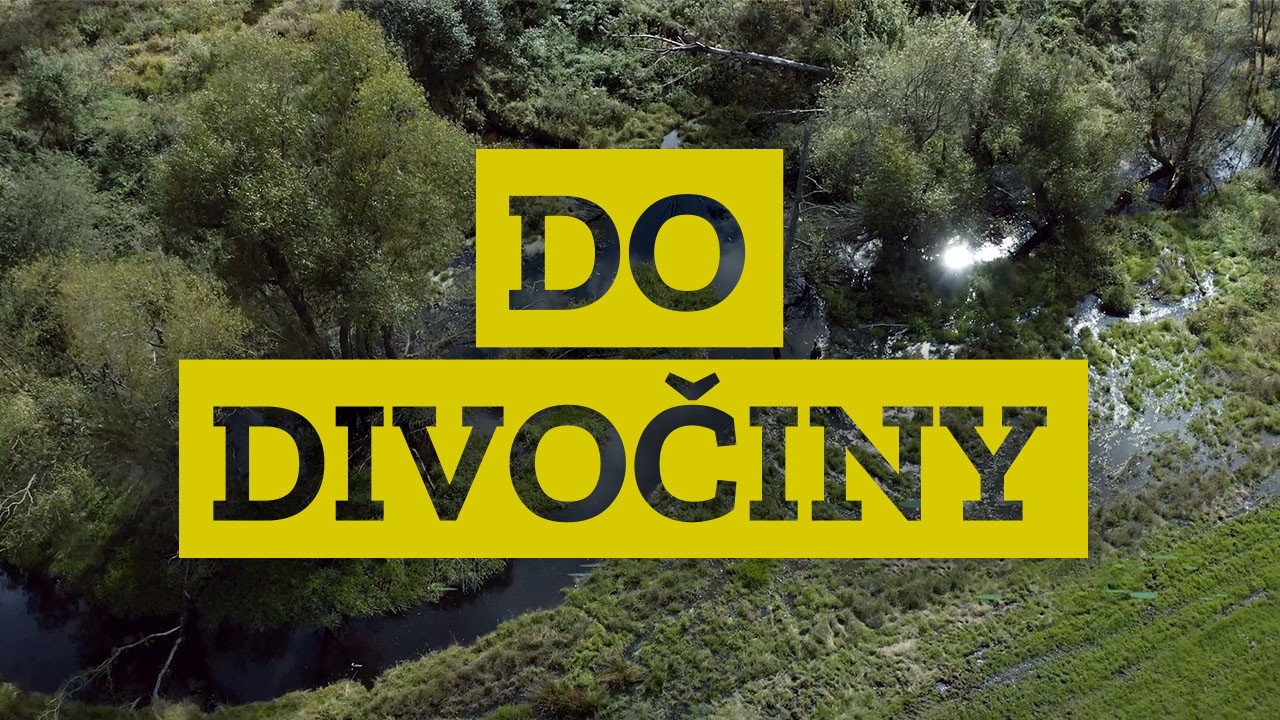 Do divočiny! (2021) TV show backdrop
