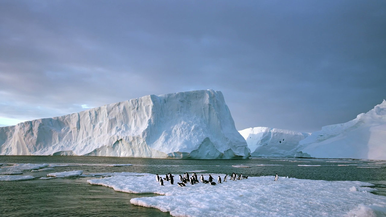 Antarctica: On the Edge (2014) movie backdrop